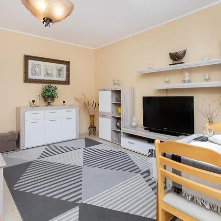 Spacious Family In By Renters Apartment *