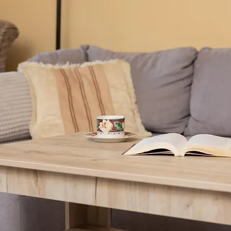Spacious Family In By Renters Apartament *